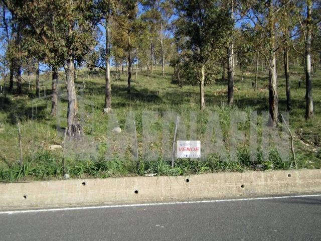 Terreno in vendita a Calopezzati CS