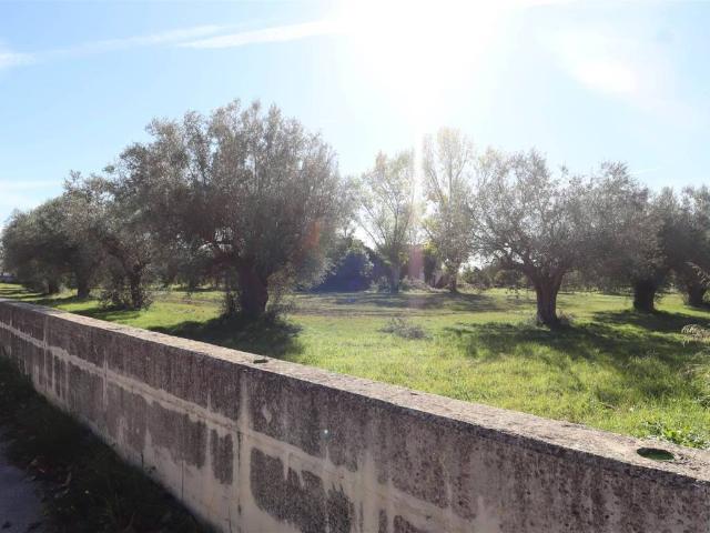 Terreno in vendita a Capua CE