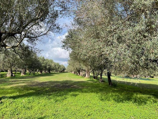 Terreno in vendita a Capua CE