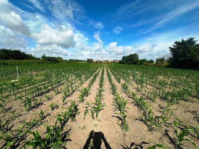 Terreno in vendita a Capua CE