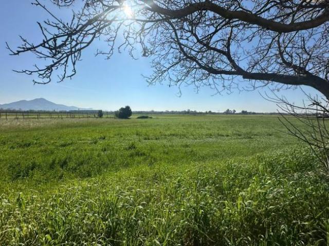 Terreno in vendita a Capua CE
