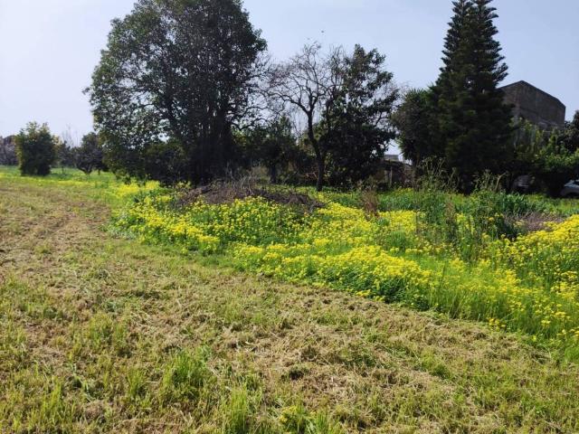 Terreno in vendita a Capua CE