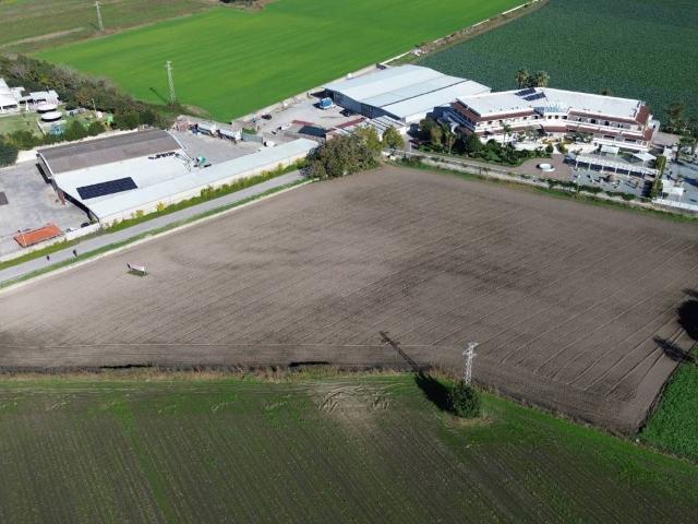 Terreno in vendita a Capaccio Paestum SA
