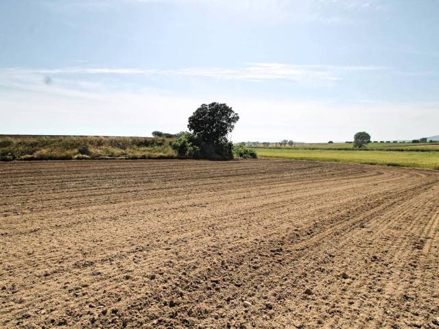 Terreno in vendita a Capalbio GR