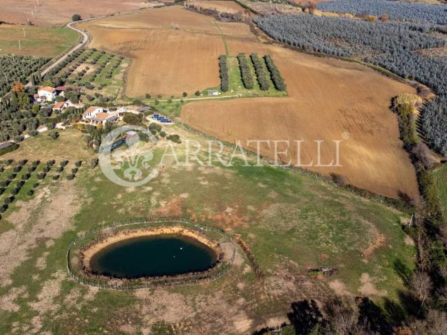 Terreno in vendita a Capalbio GR