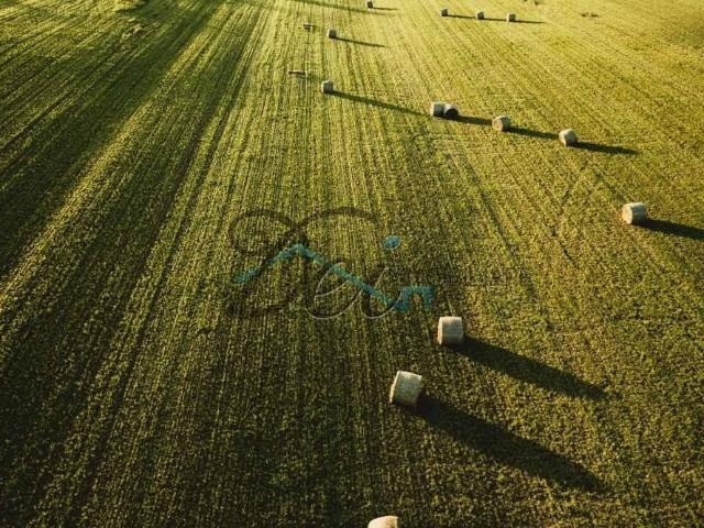 Terreno in vendita a Capannori LU