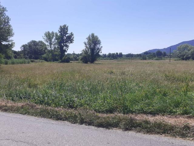 Terreno in vendita a Capannori LU