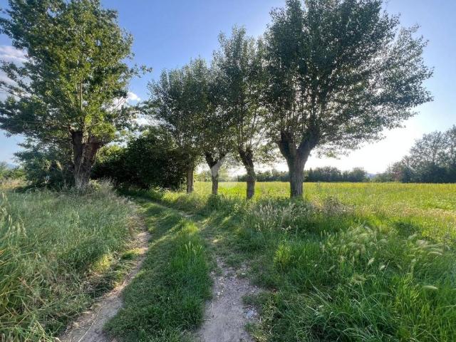 Terreno in vendita a Capannori LU