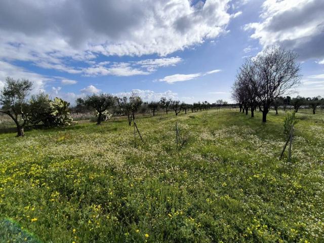 Terreno in vendita a Capoterra CA