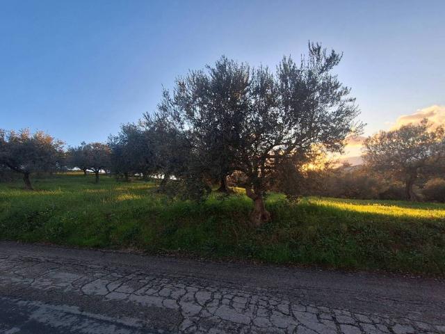 Terreno in vendita a Cappelle sul Tavo PE