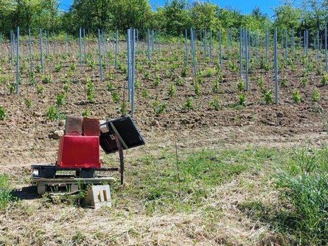 Terreno in vendita a Carezzano AL