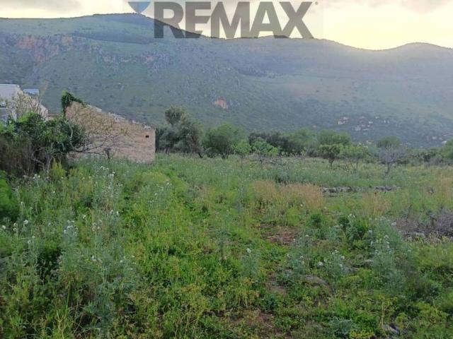 Terreno in vendita a Carini PA