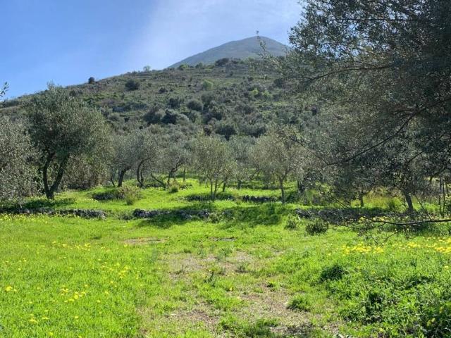 Terreno in vendita a Carini PA