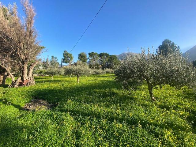 Terreno in vendita a Carini PA