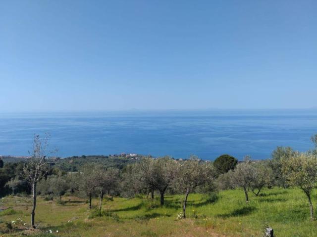 Terreno in vendita a Caronia ME