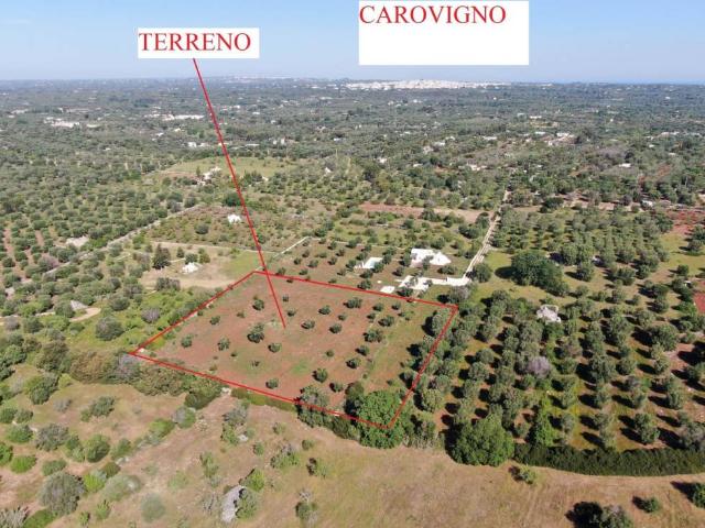 Terreno in vendita a Carovigno BR