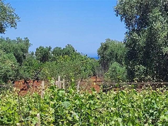 Terreno in vendita a Carovigno BR