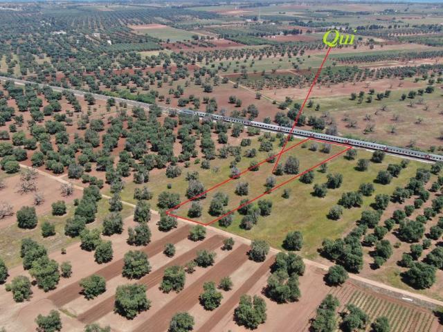 Terreno in vendita a Carovigno BR