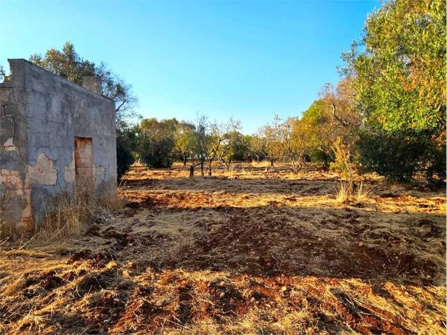 Terreno in vendita a Carovigno BR