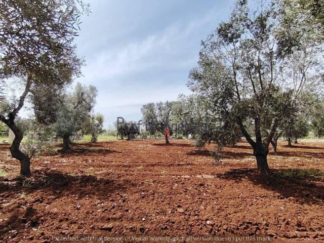Terreno in vendita a Carovigno BR