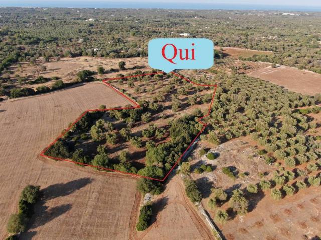 Terreno in vendita a Carovigno BR
