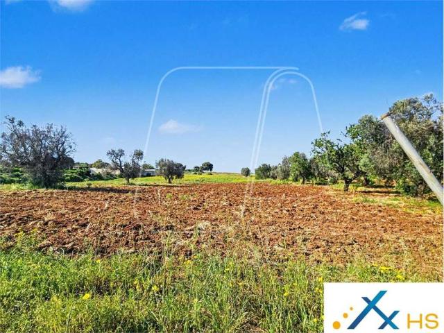 Terreno in vendita a Carovigno BR