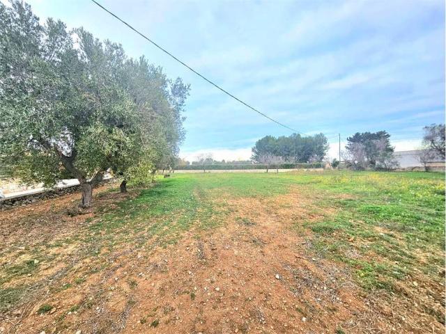 Terreno in vendita a Carovigno BR