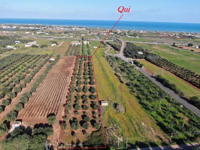 Terreno in vendita a Carovigno BR