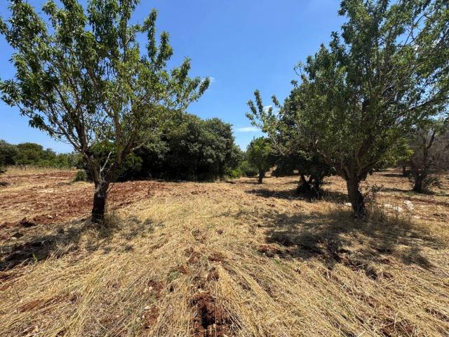 Terreno in vendita a Carovigno BR