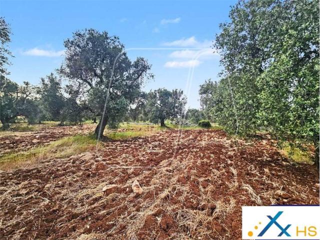 Terreno in vendita a Carovigno BR