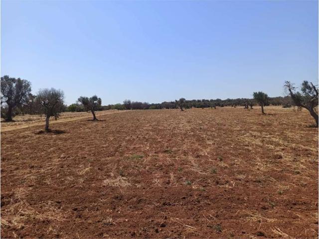 Terreno in vendita a Carovigno BR