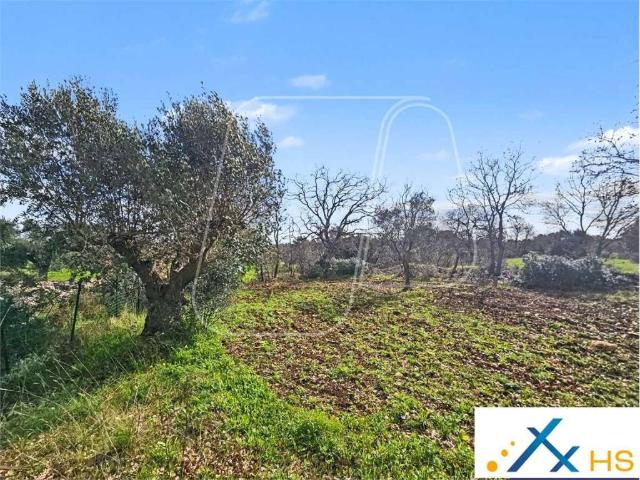 Terreno in vendita a Carovigno BR
