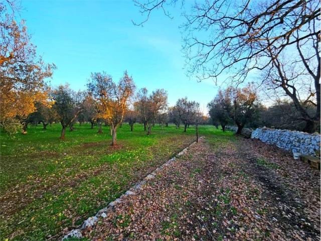 Terreno in vendita a Carovigno BR