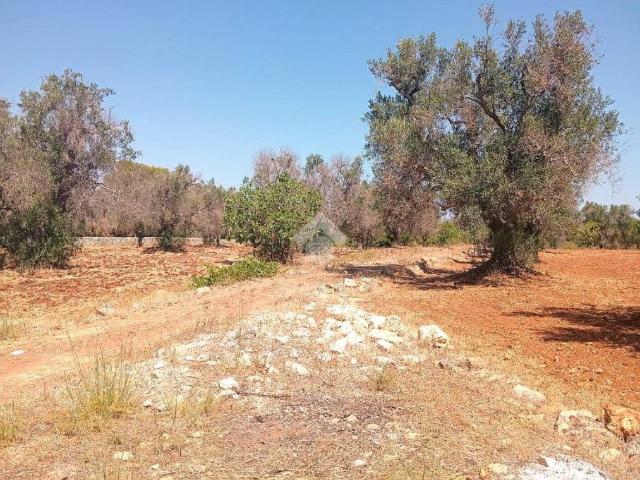 Terreno in vendita a Carovigno BR