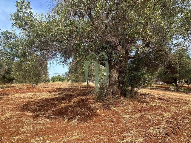 Terreno in vendita a Carovigno BR