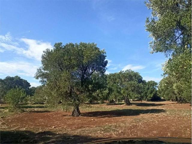 Terreno in vendita a Carovigno BR
