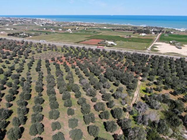 Terreno in vendita a Carovigno BR