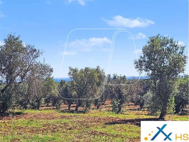 Terreno in vendita a Carovigno BR