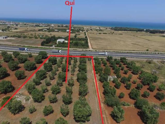 Terreno in vendita a Carovigno BR
