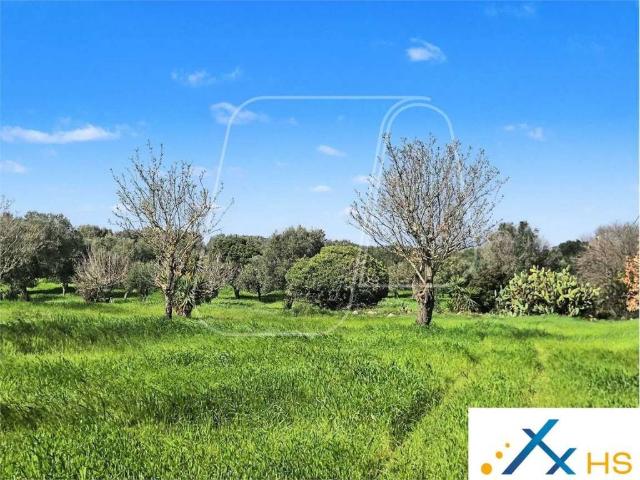 Terreno in vendita a Carovigno BR