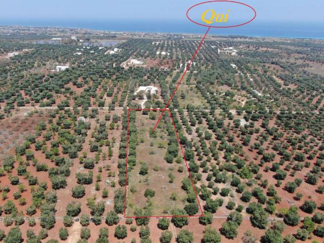 Terreno in vendita a Carovigno BR