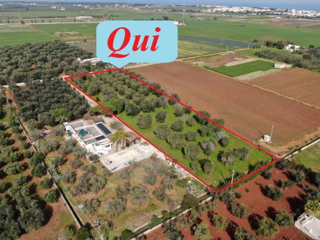 Terreno in vendita a Carovigno BR