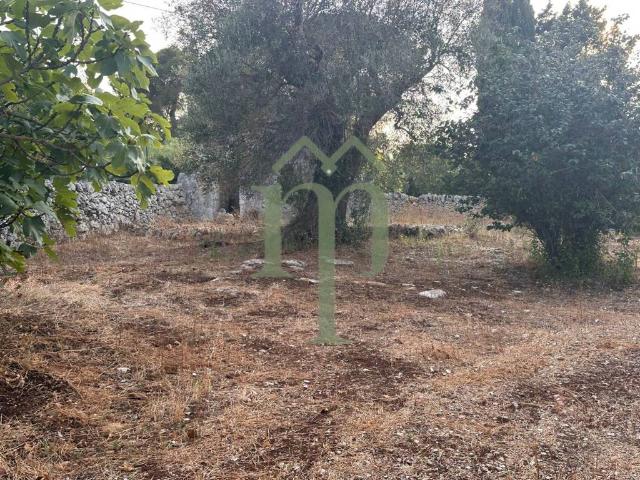 Terreno in vendita a Carovigno BR