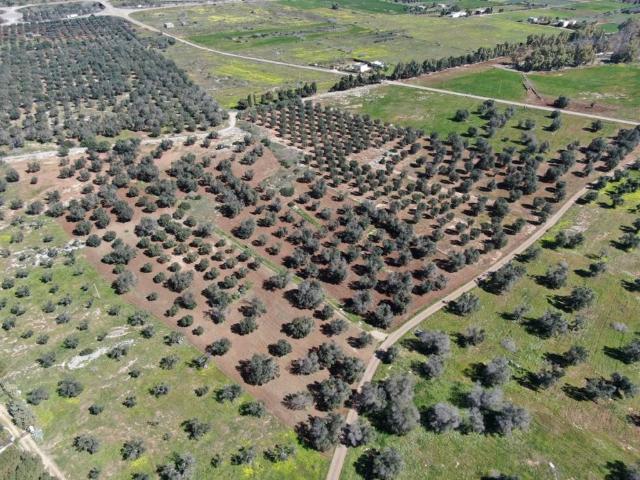 Terreno in vendita a Carovigno BR