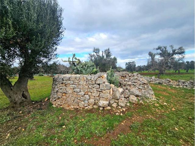 Terreno in vendita a Carovigno BR