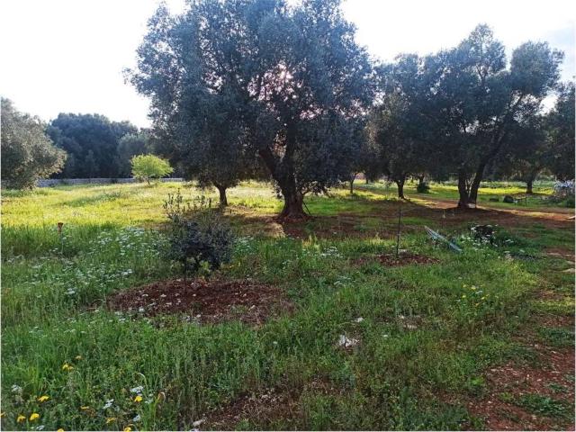 Terreno in vendita a Carovigno BR