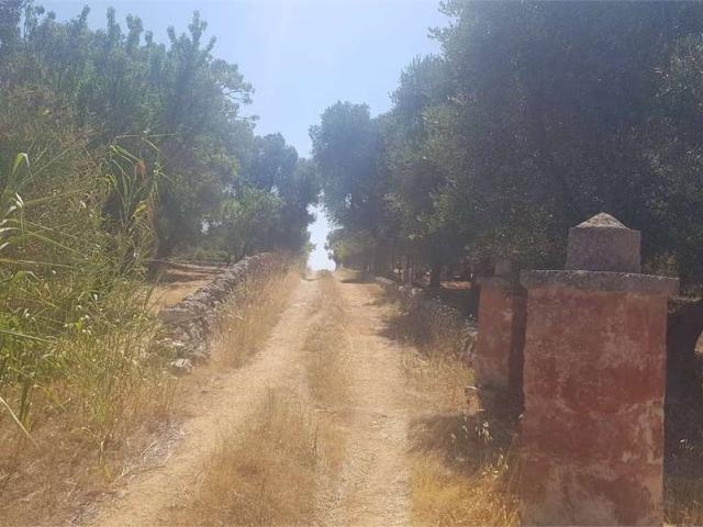Terreno in vendita a Carovigno BR