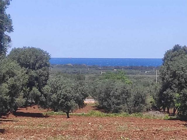 Terreno in vendita a Carovigno BR