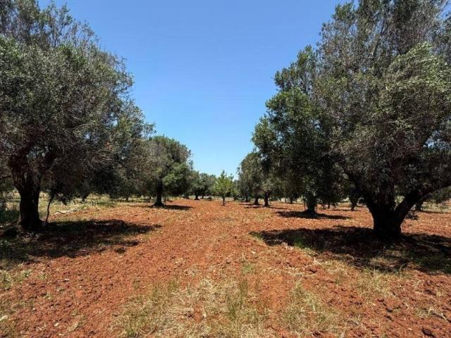 Terreno in vendita a Carovigno BR