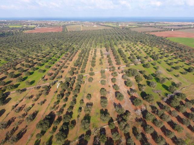 Terreno in vendita a Carovigno BR